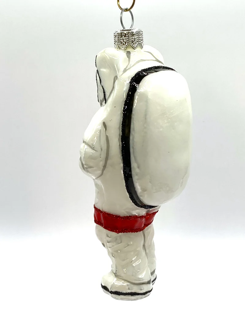 Astronaut