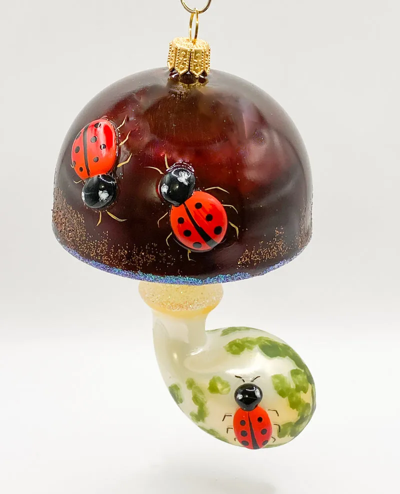 Grosser Pilz mit Marienkäfern auf dem Hut