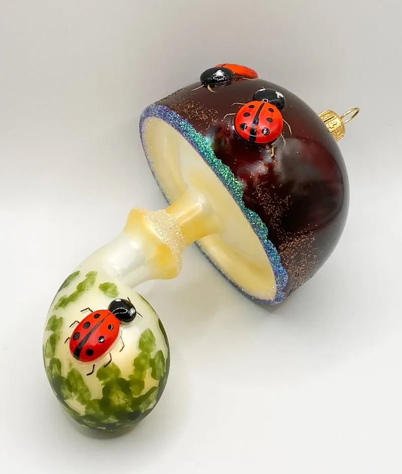 Grosser Pilz mit Marienkäfern auf dem Hut