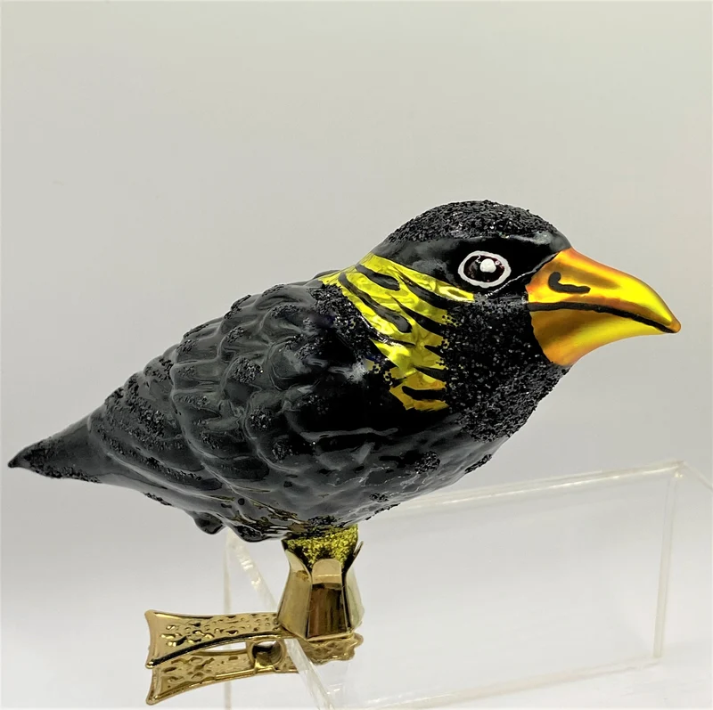 Krähe oder Amsel auf Clip