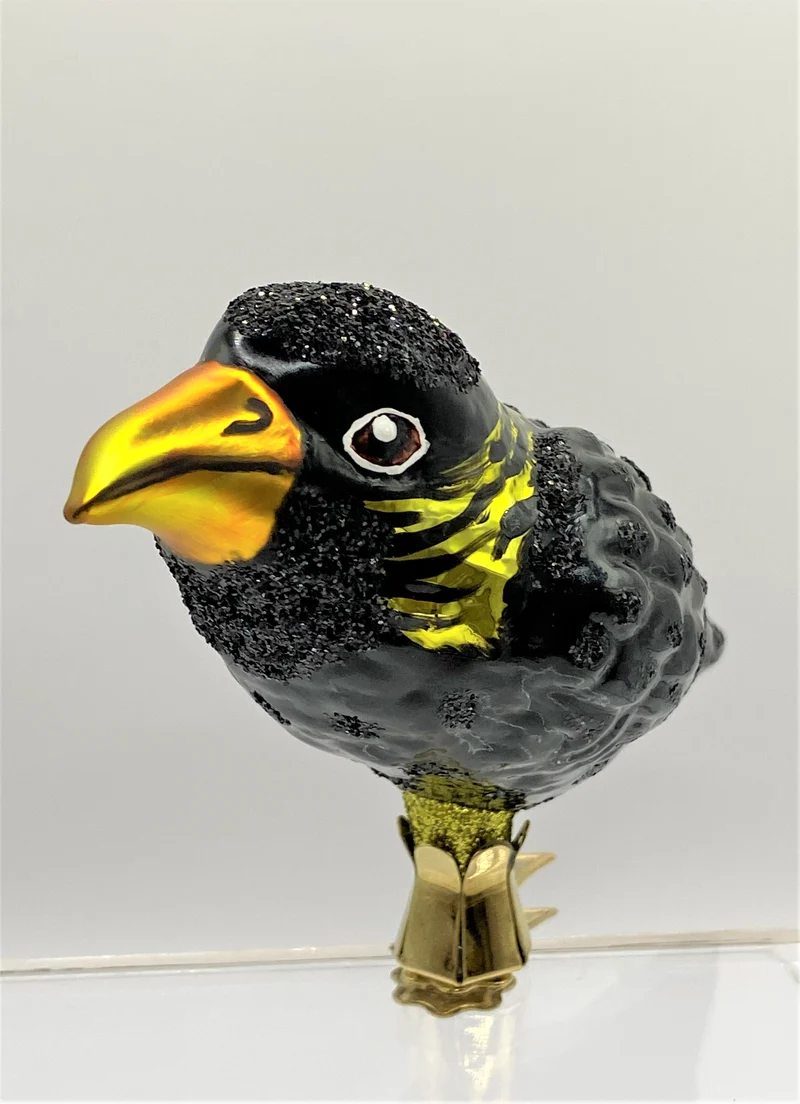Krähe oder Amsel auf Clip