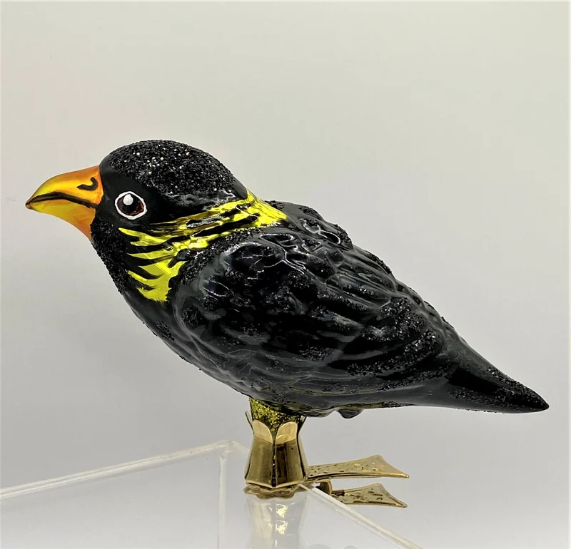 Krähe oder Amsel auf Clip
