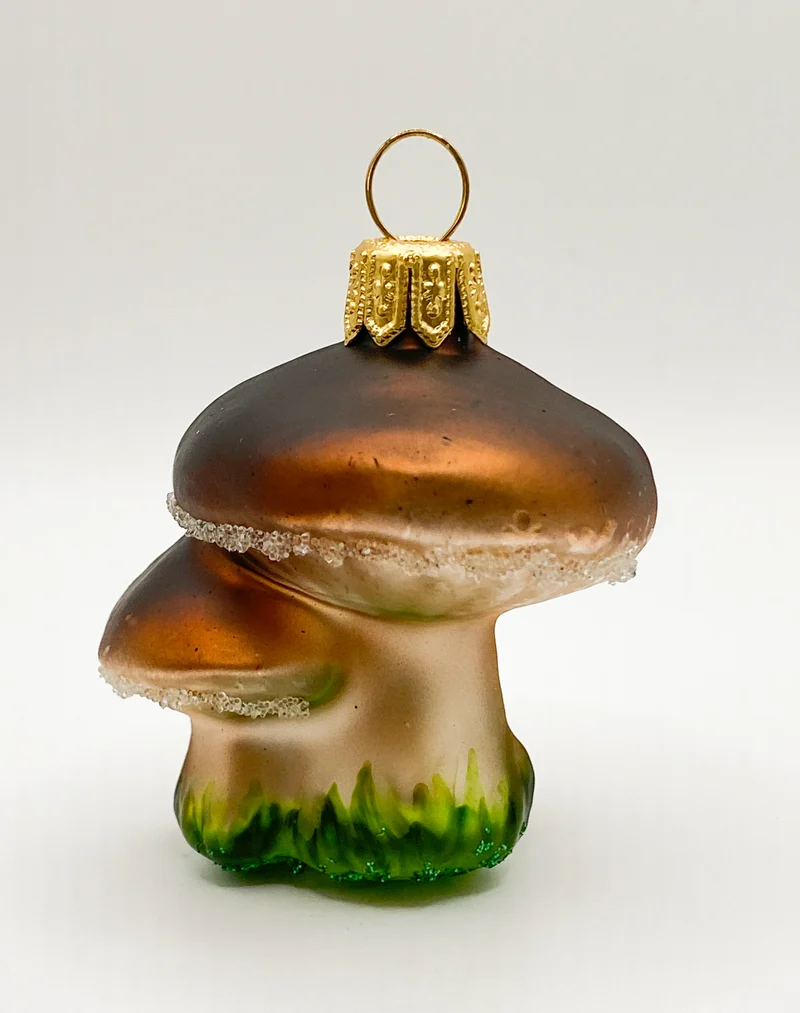 Zwei Pilze mit braunem Hut
