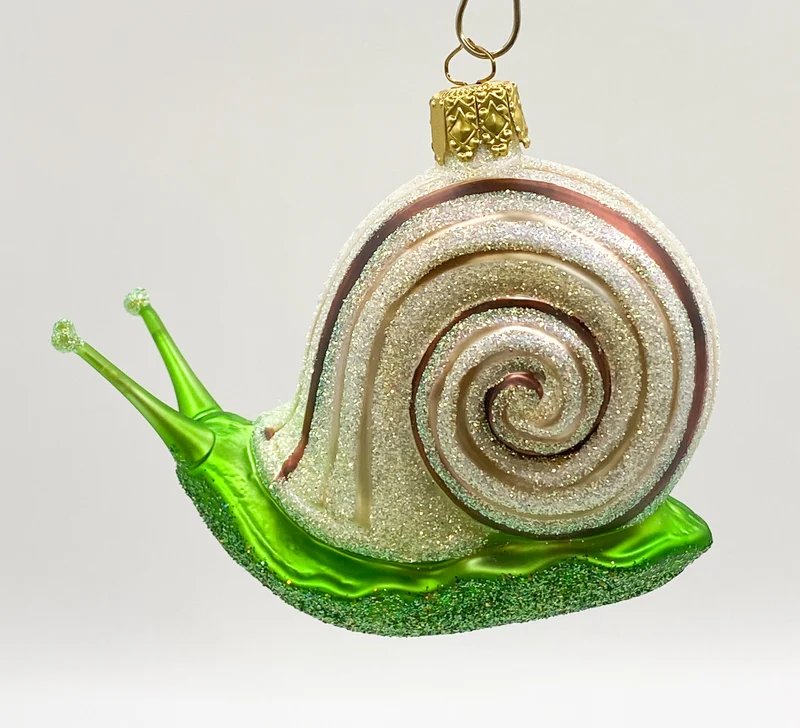 Große Schnecke mit braunen Streifen