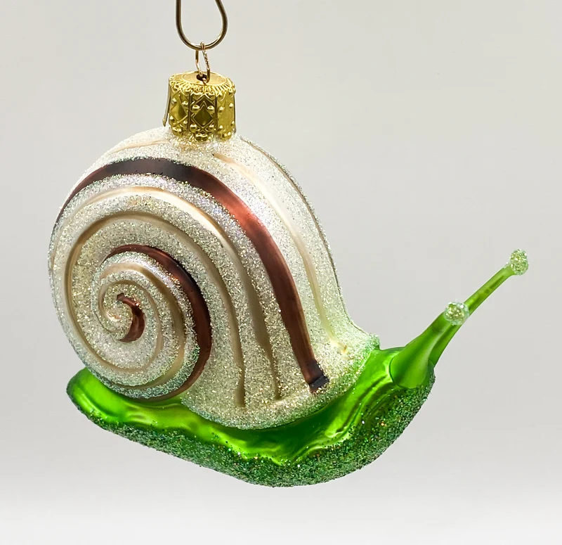 Große Schnecke mit braunen Streifen