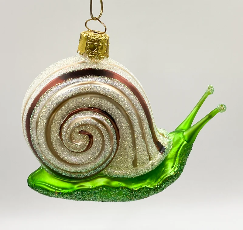 Große Schnecke mit braunen Streifen
