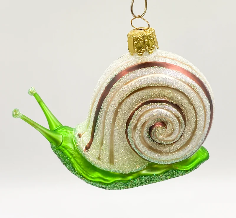 Große Schnecke mit braunen Streifen