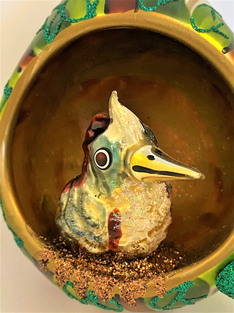 Zwei Vögel im Vogelnest