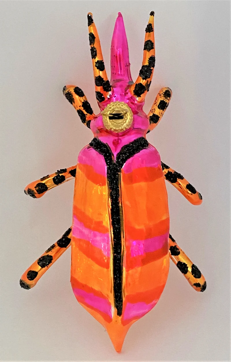 Käfer pink orange