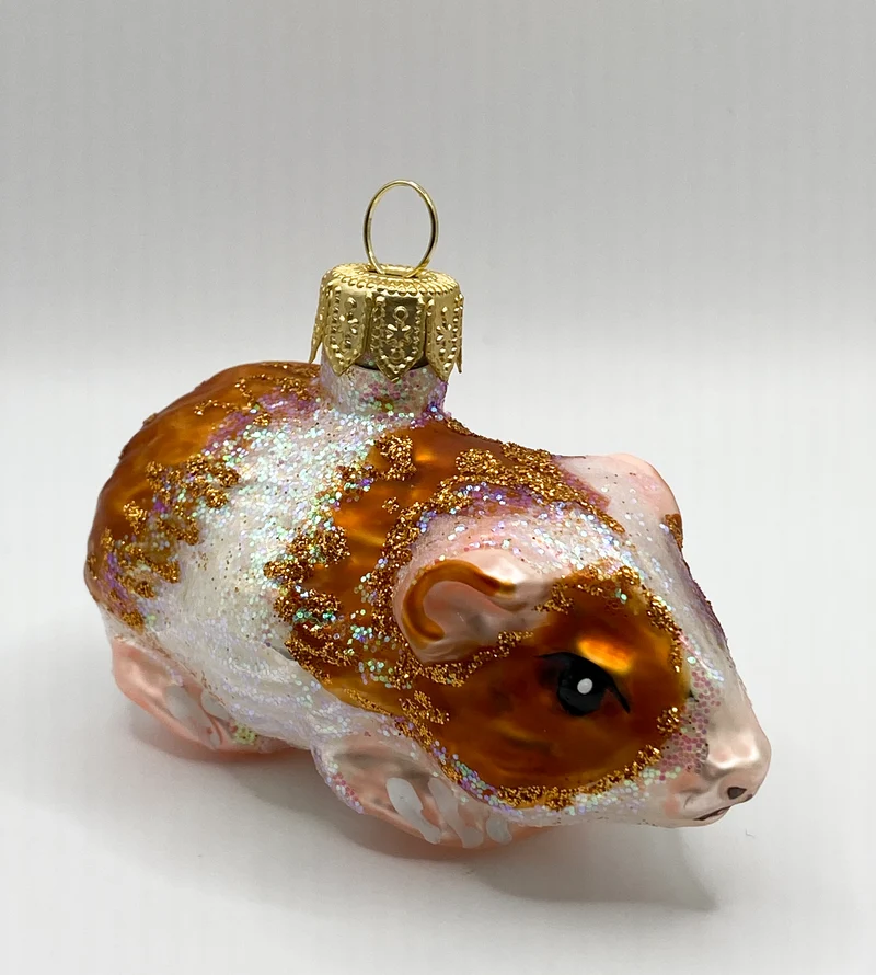 Meerschweinchen braun gefleckt