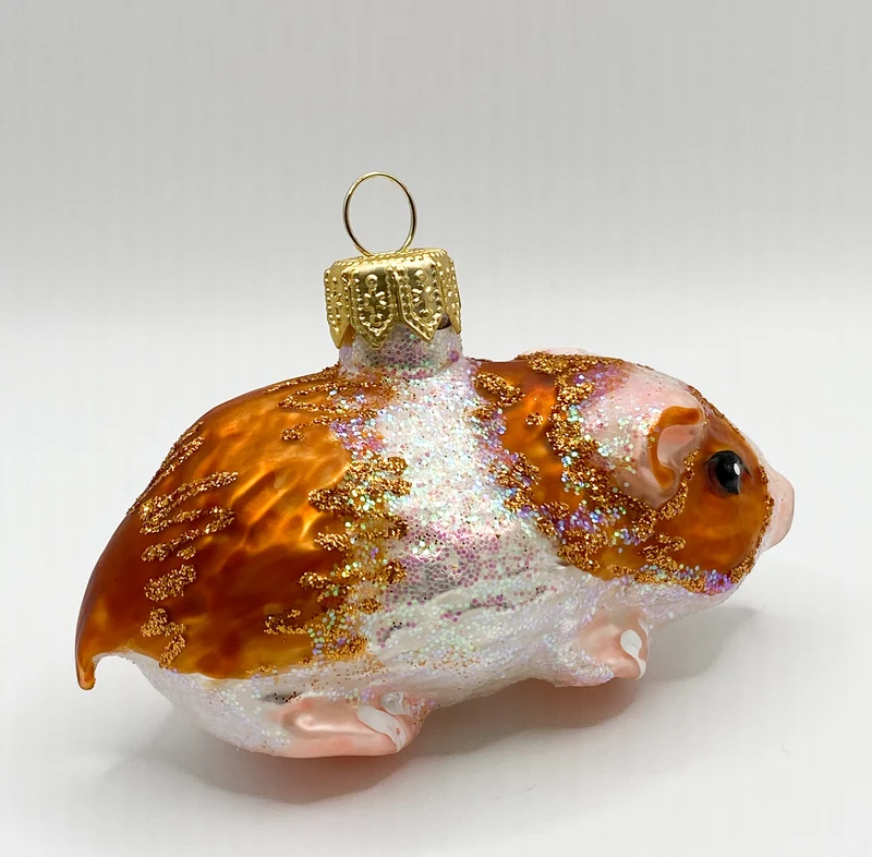 Meerschweinchen braun gefleckt