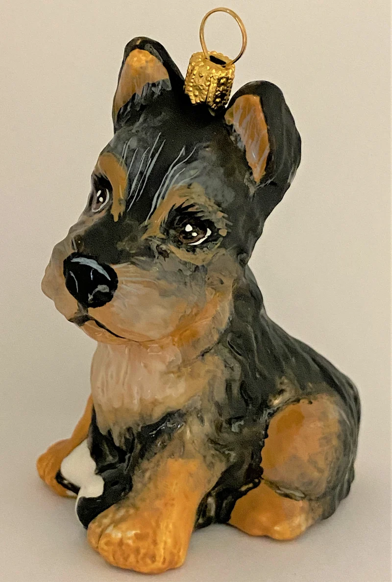 Junger Welsh-Terrier, KOMOZJA MOSTOWSKI