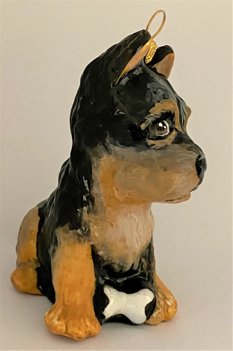 Junger Welsh-Terrier, KOMOZJA MOSTOWSKI