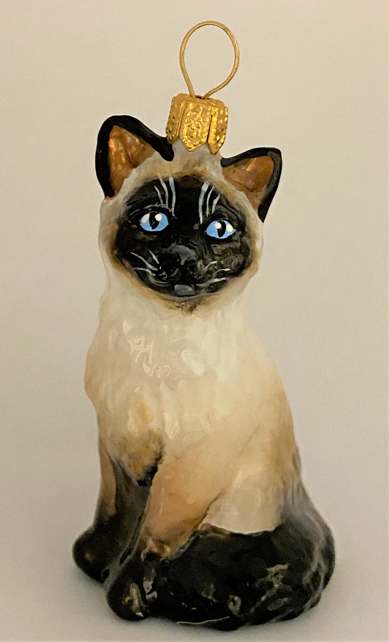 Kleine Siam-Katze