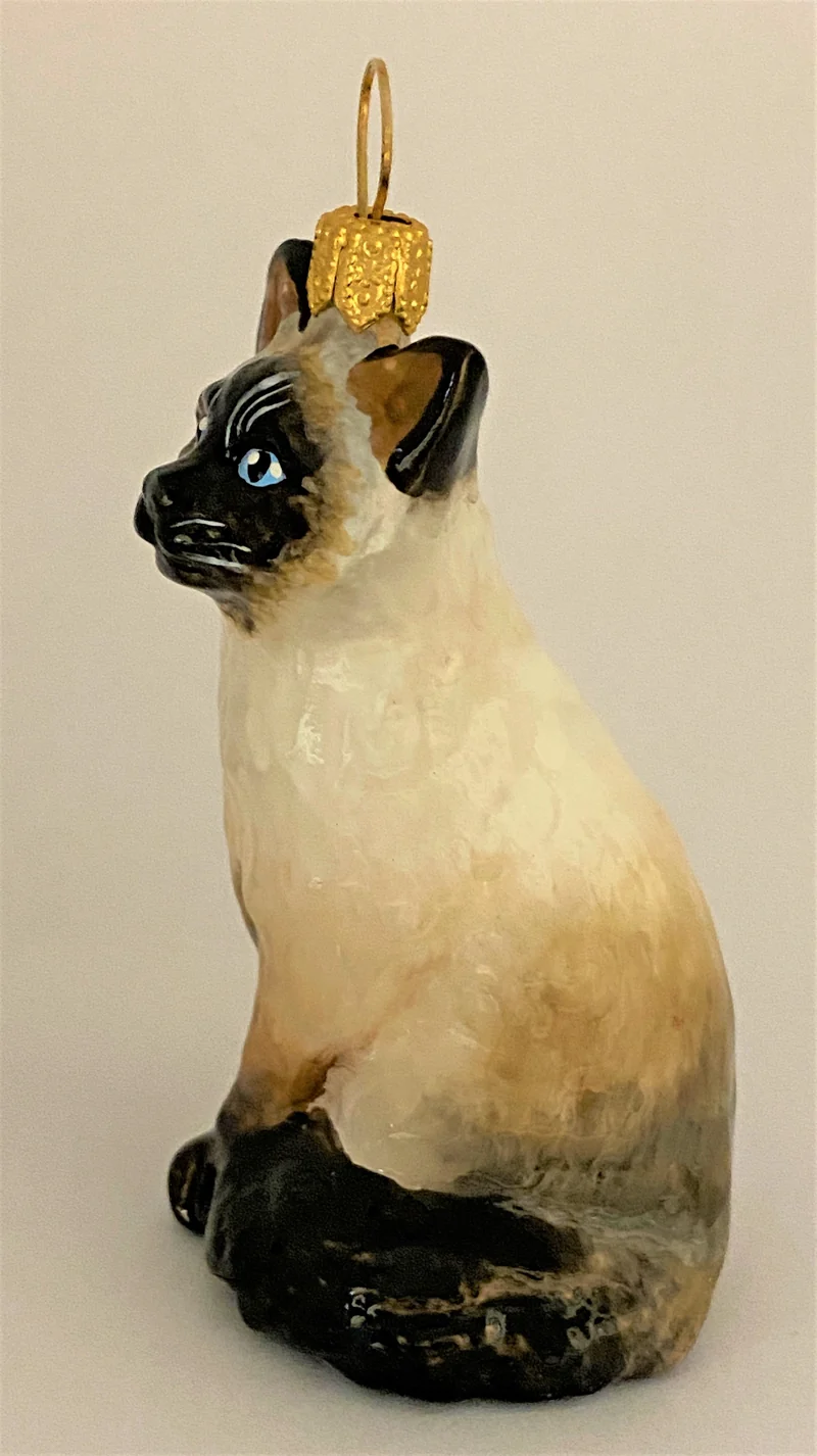 Kleine Siam-Katze