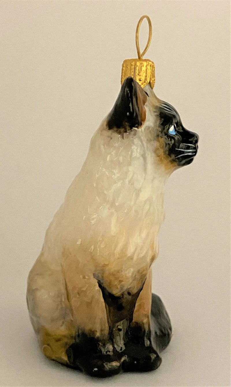 Kleine Siam-Katze