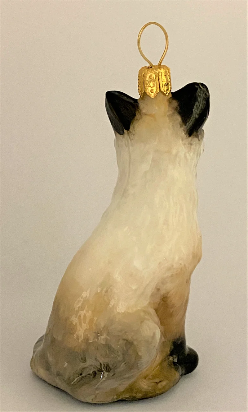 Kleine Siam-Katze