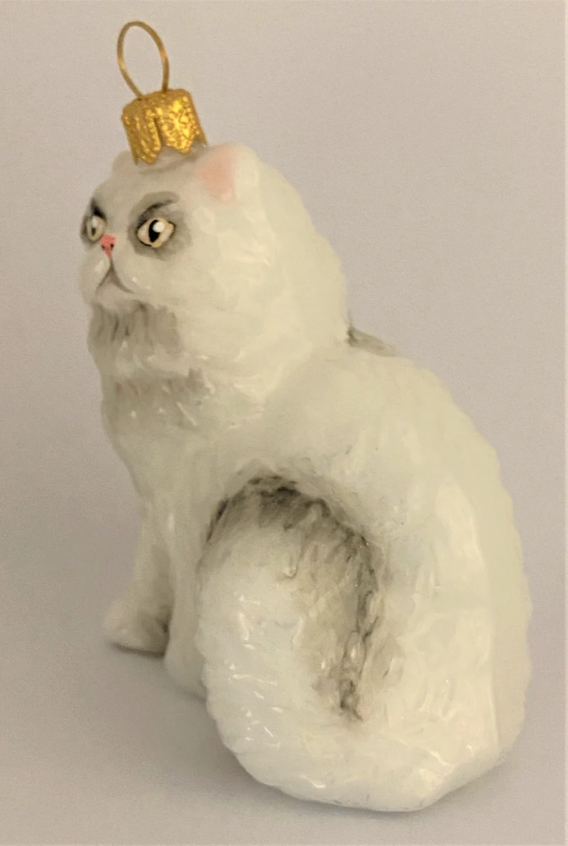 Weisse Perser-Katze