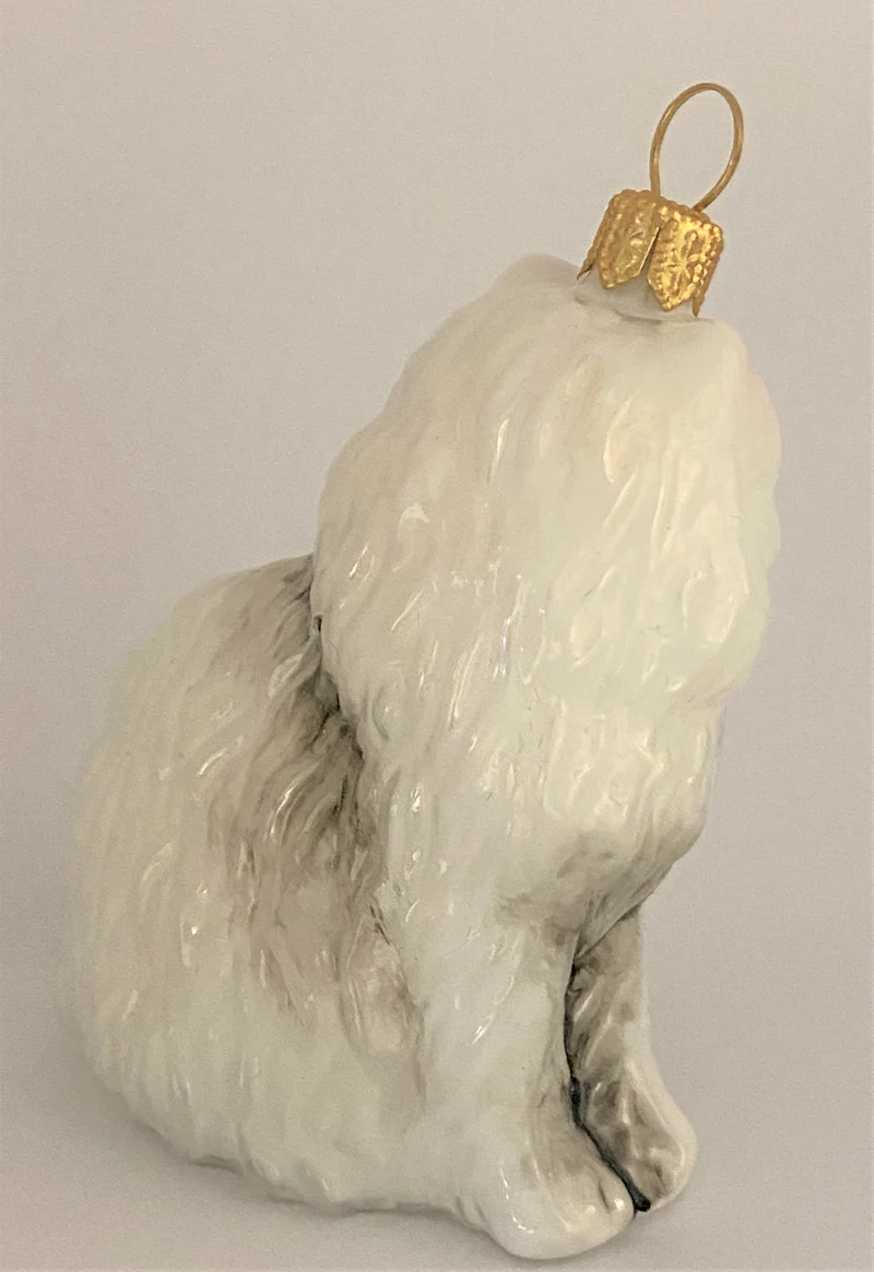 Weisse Perser-Katze
