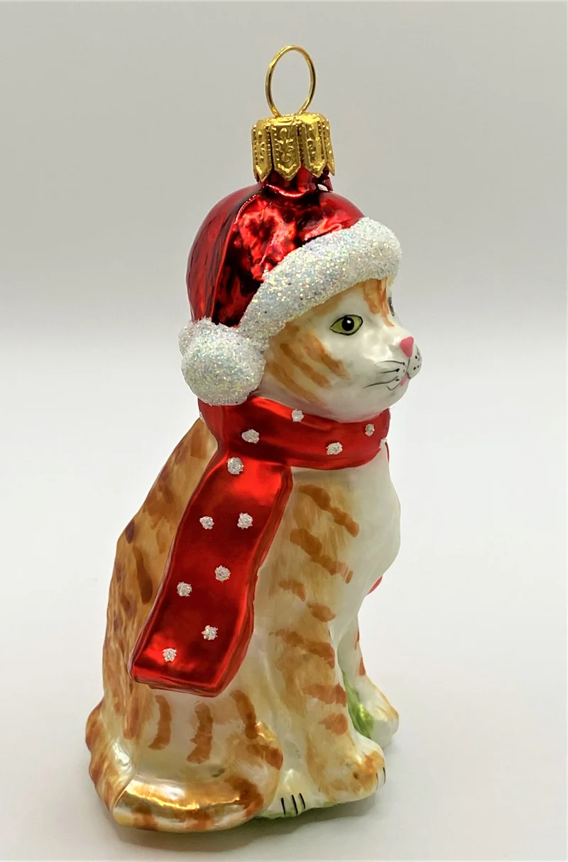 Rote Tiger-Katze mit rotem Schal und Mütze