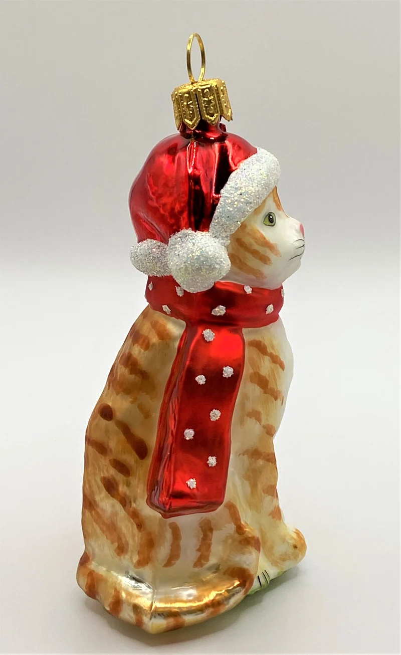 Rote Tiger-Katze mit rotem Schal und Mütze