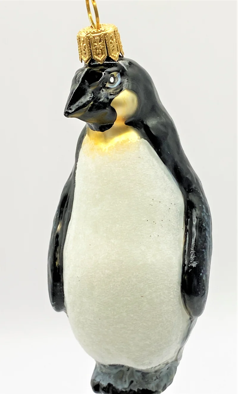 Königspinguin