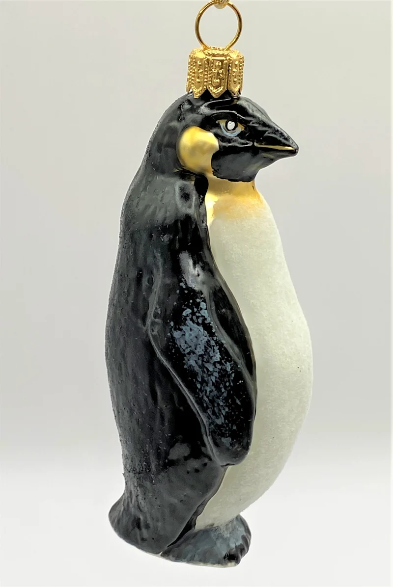 Königspinguin
