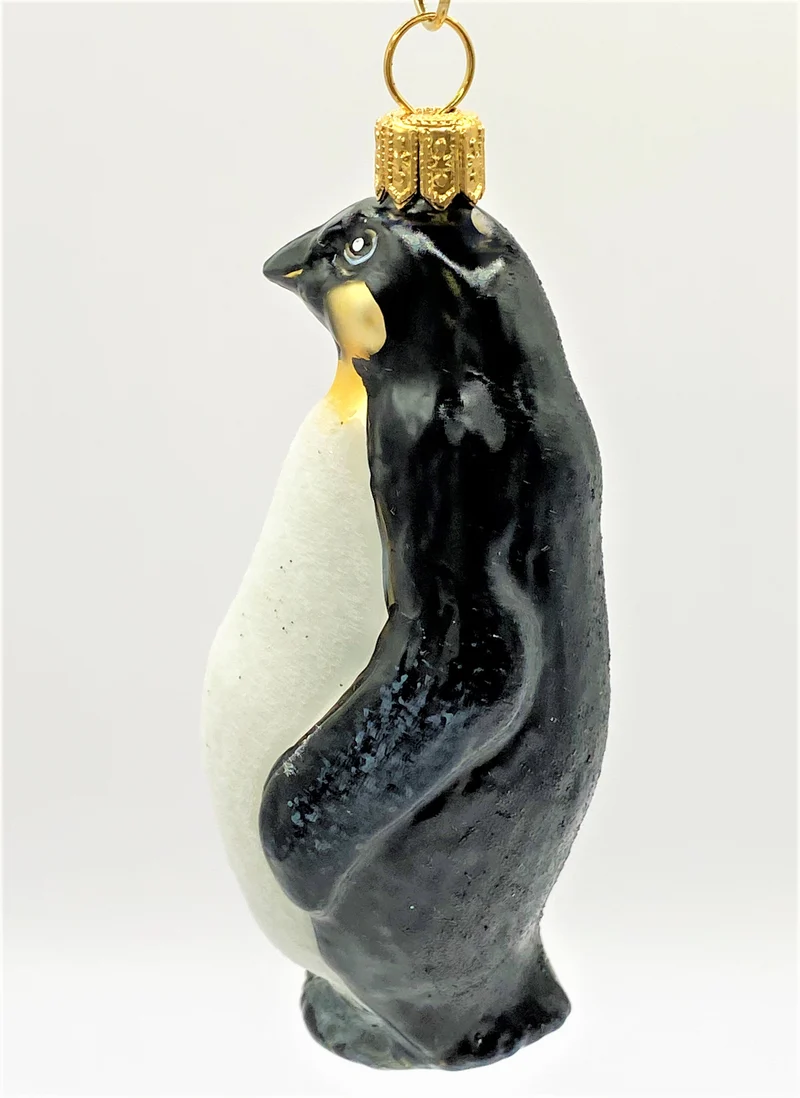 Königspinguin
