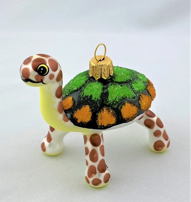 Lustige Galapagos-Schildkröte