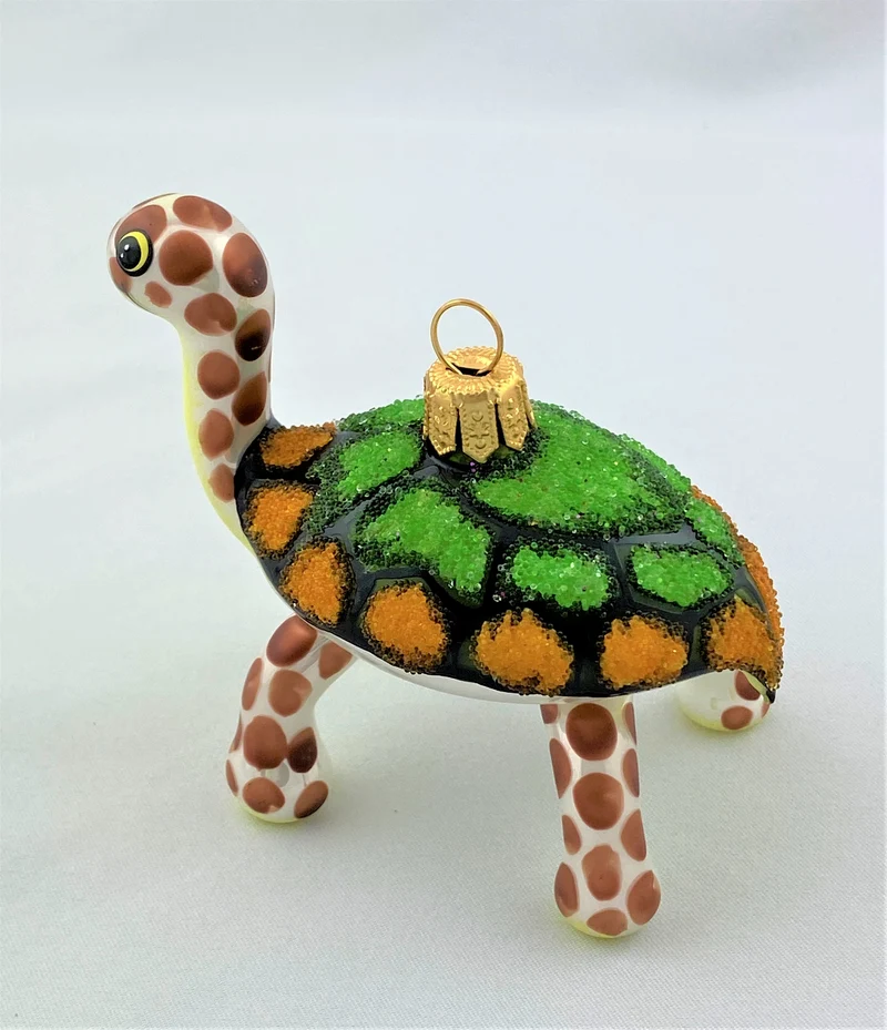 Lustige Galapagos-Schildkröte