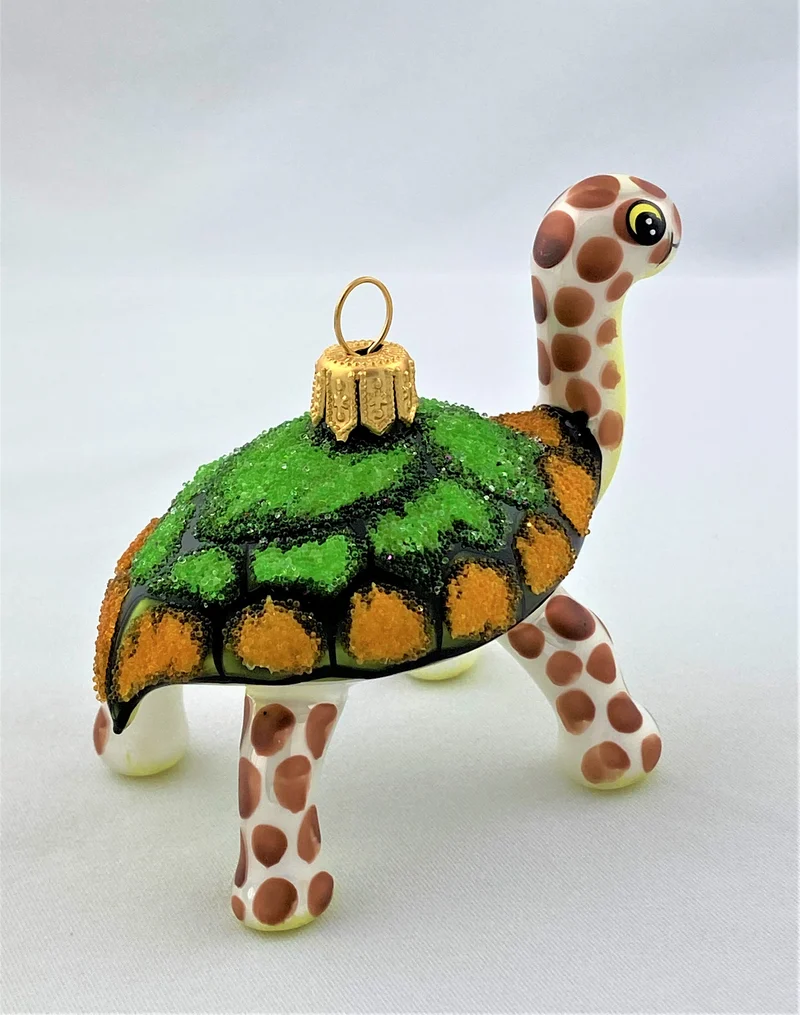 Lustige Galapagos-Schildkröte