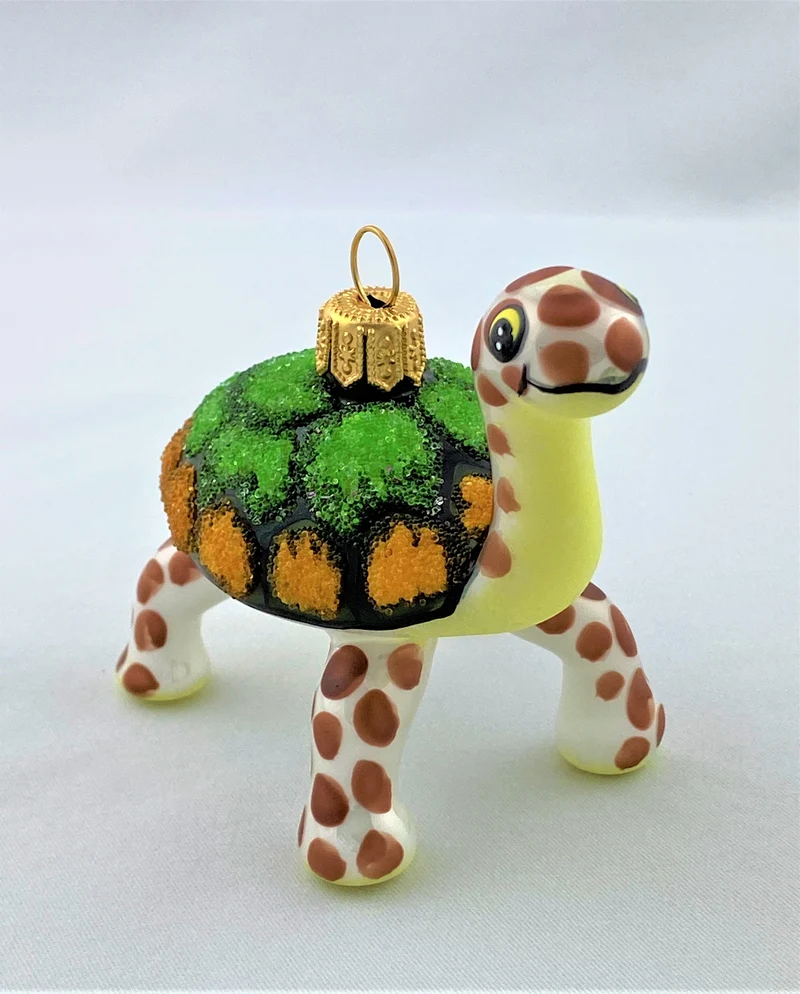 Lustige Galapagos-Schildkröte