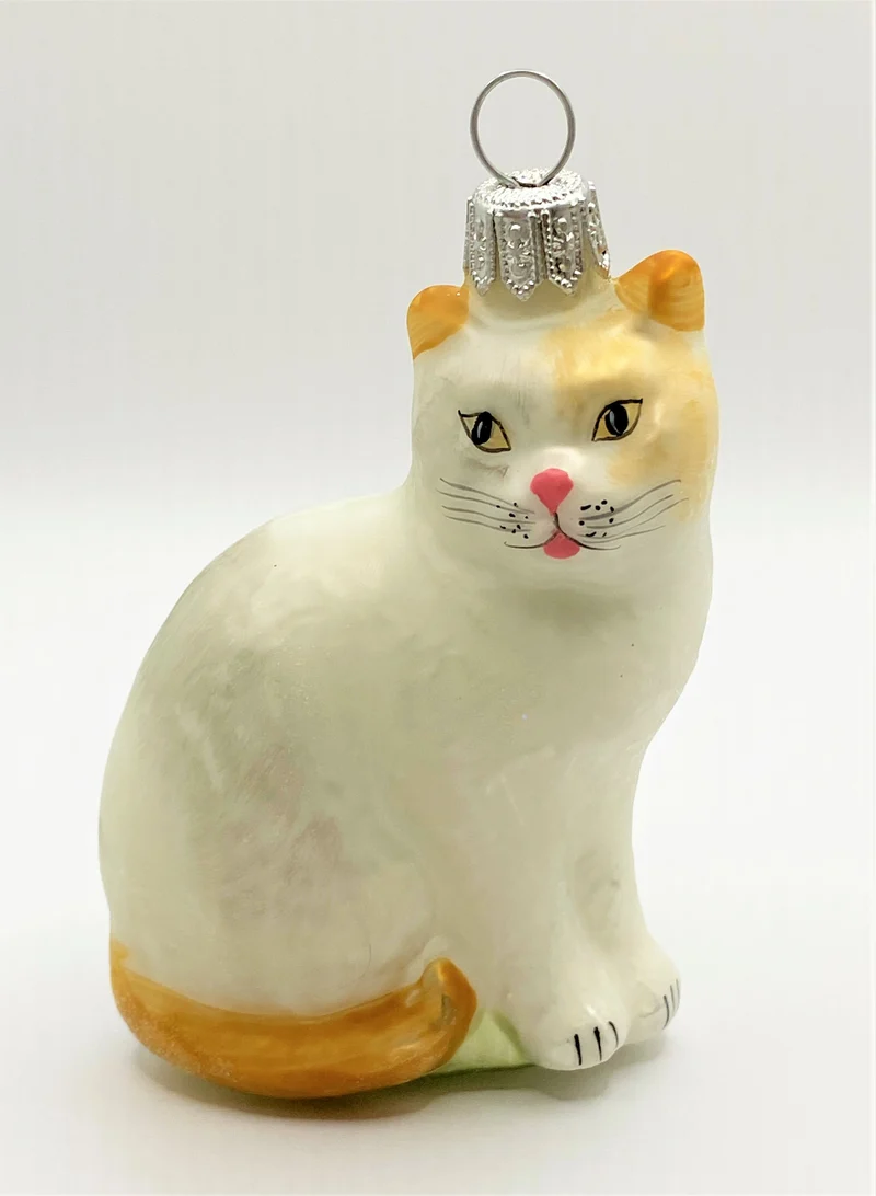 Weisse Katze mit braunem Schwanz