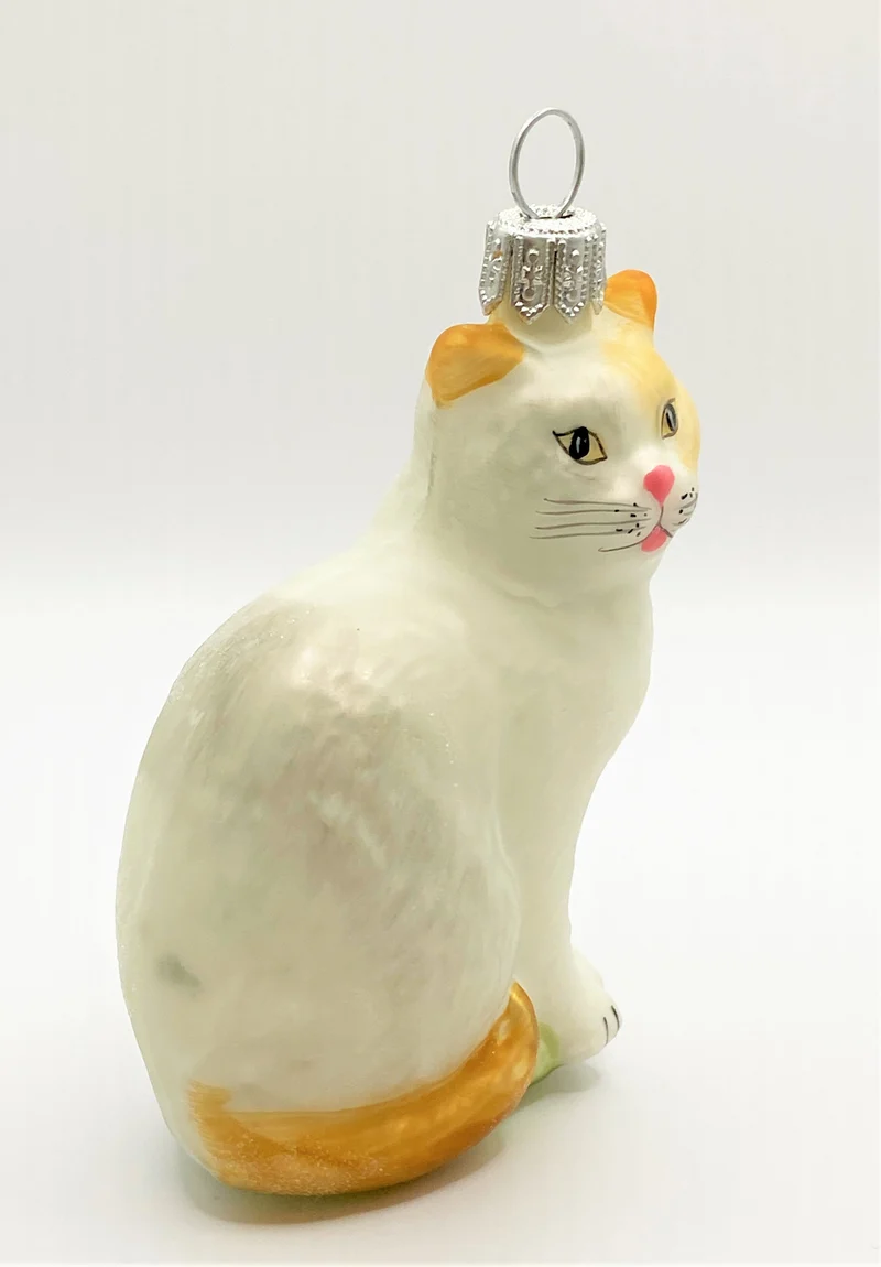 Weisse Katze mit braunem Schwanz