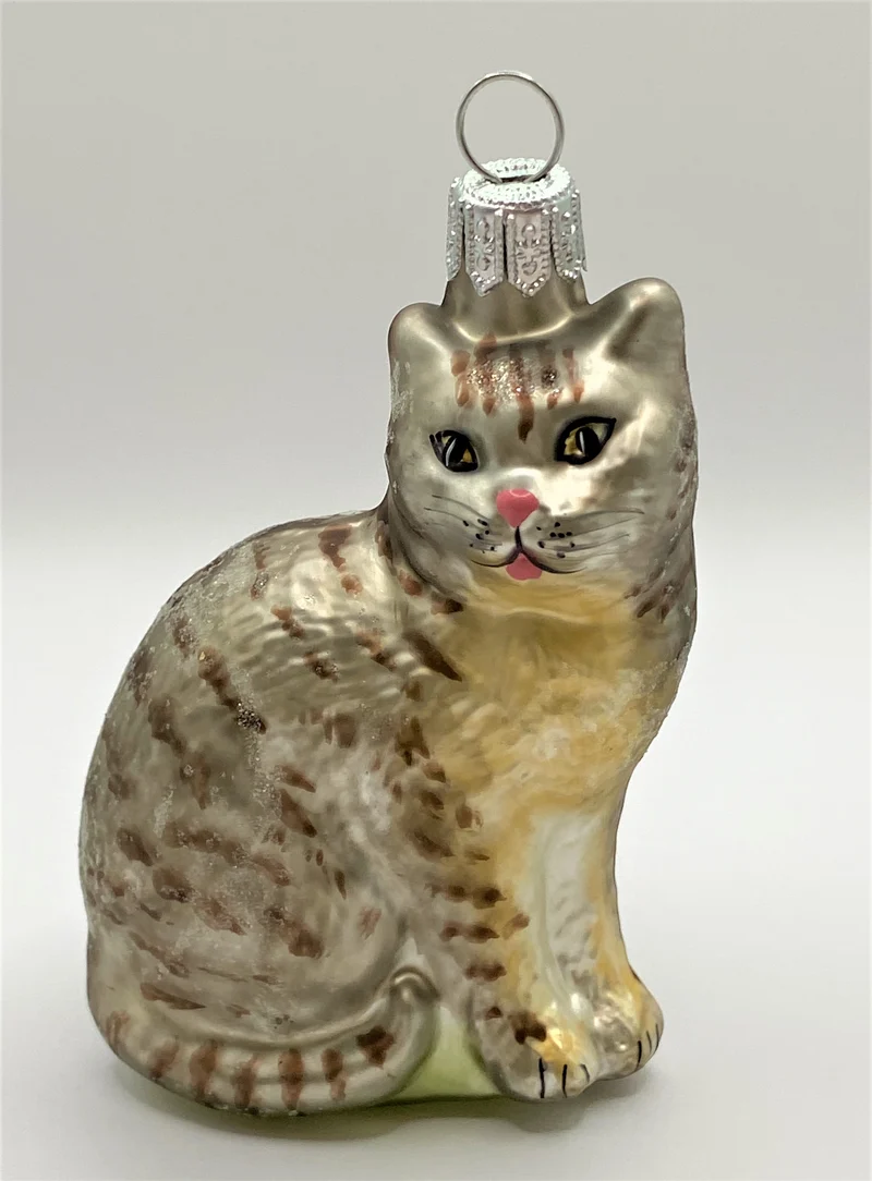 Graue Tiger - Katze
