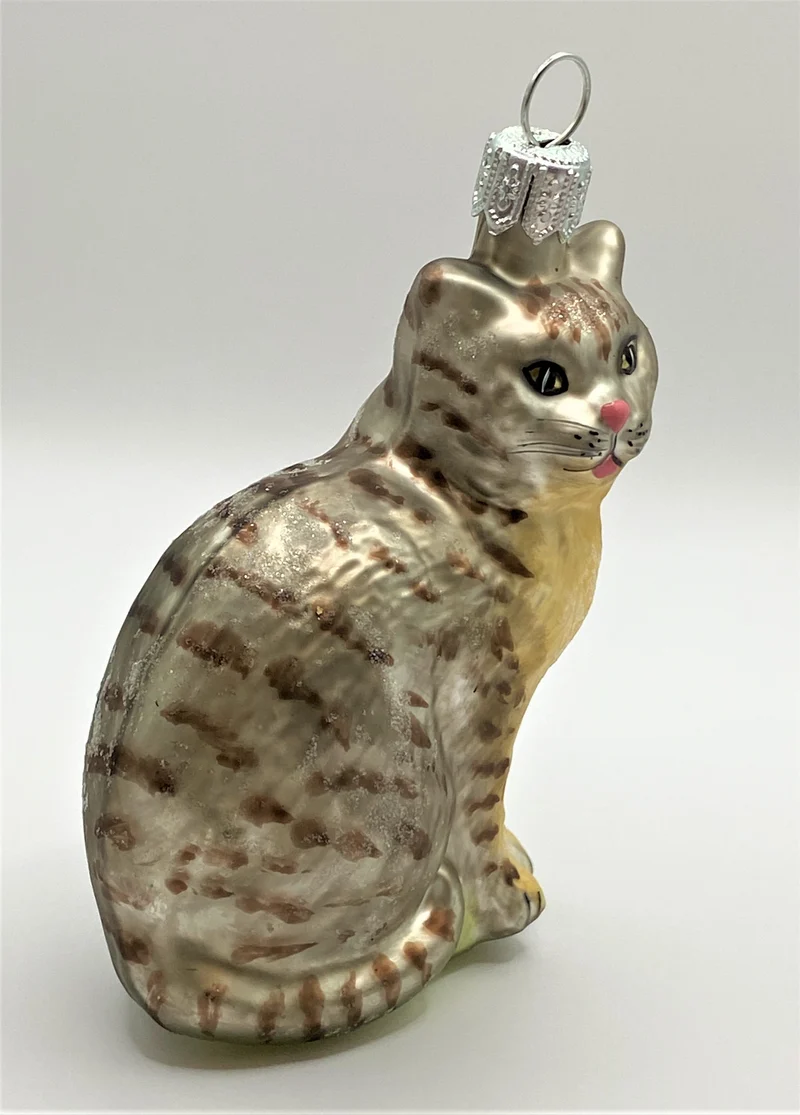 Graue Tiger - Katze