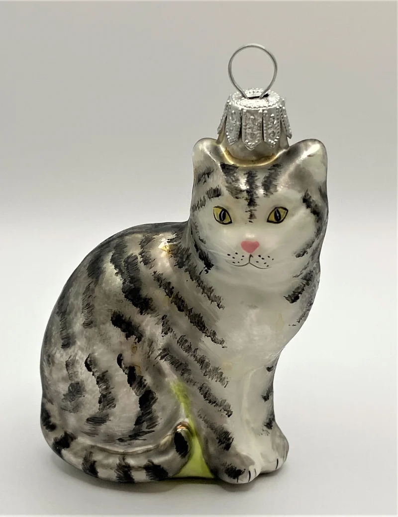 Graue Tiger-Katze mit weissem Bauch