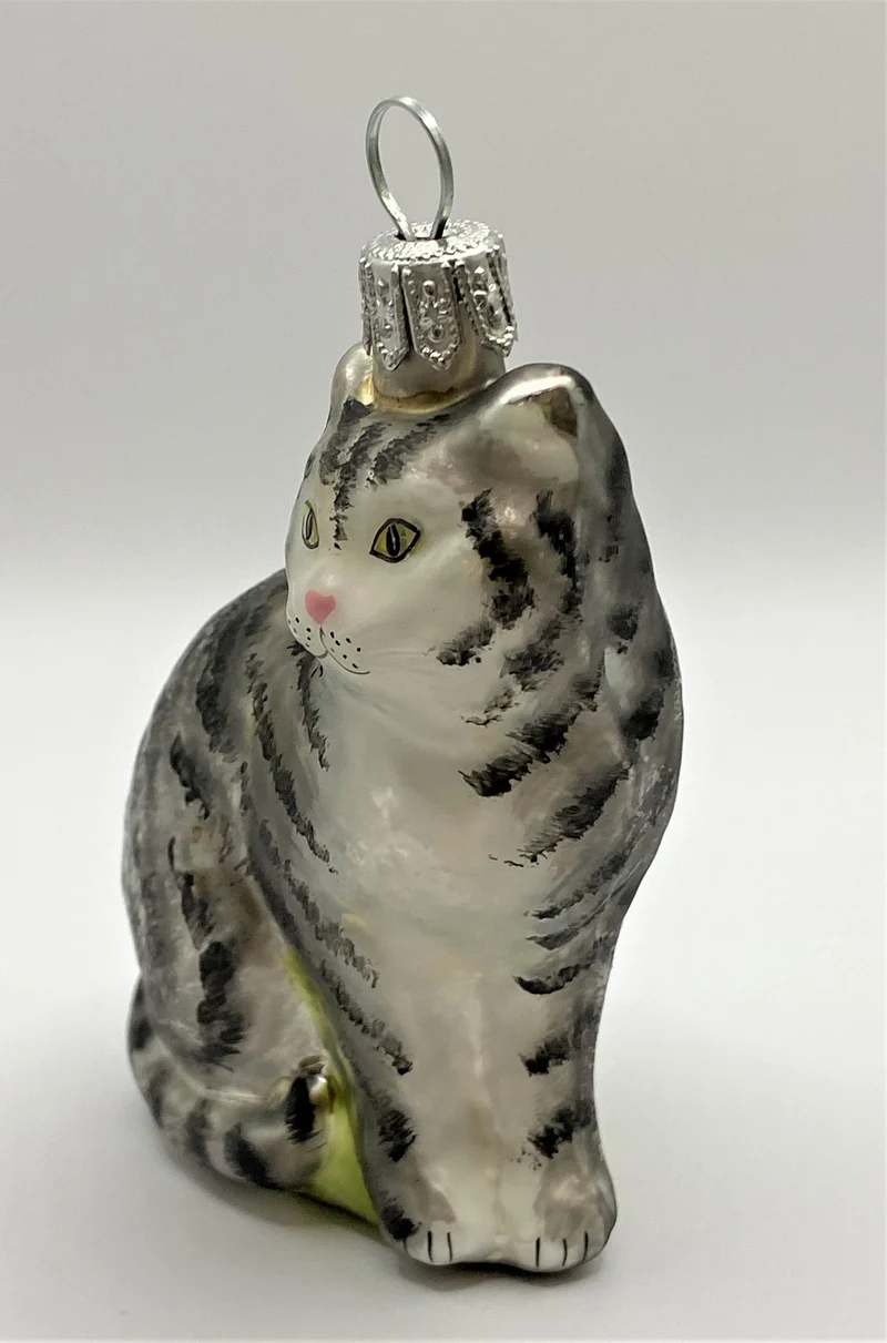 Graue Tiger-Katze mit weissem Bauch