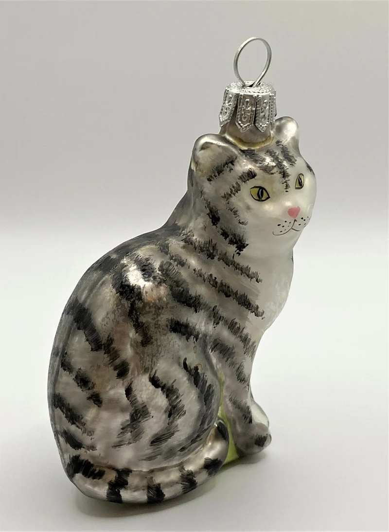 Graue Tiger-Katze mit weissem Bauch