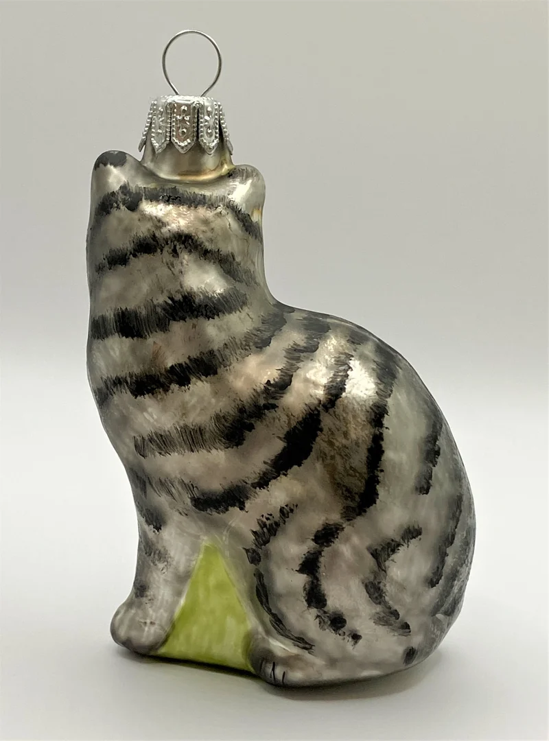Graue Tiger-Katze mit weissem Bauch