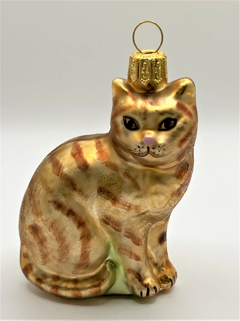 Rote Tiger-Katze