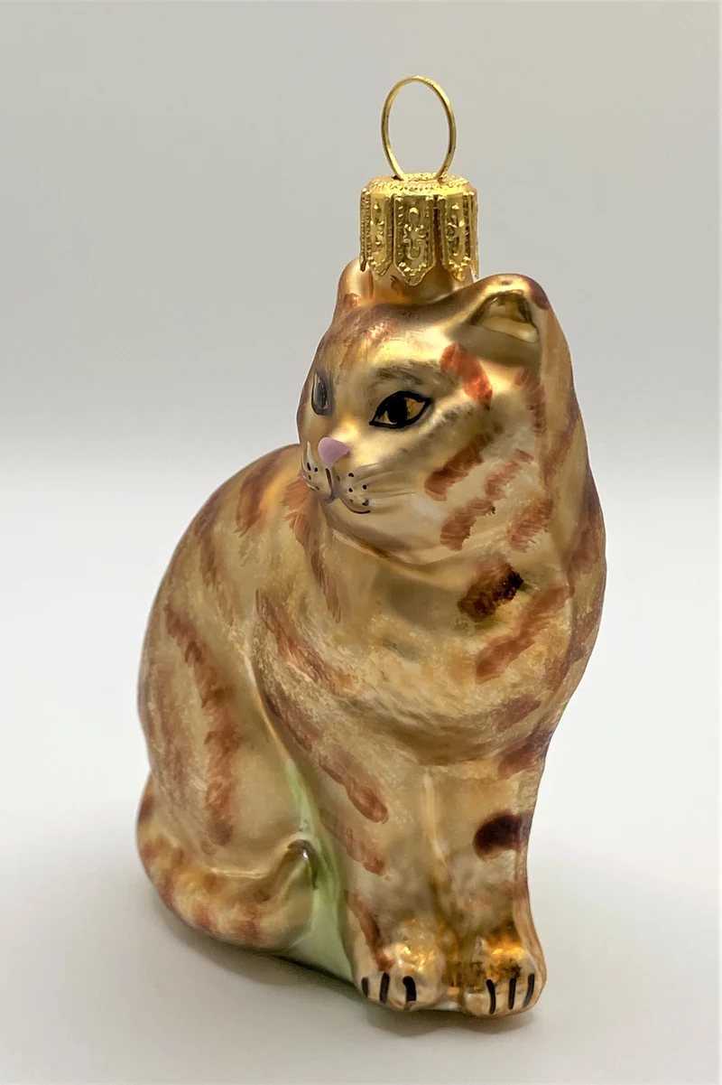 Rote Tiger-Katze