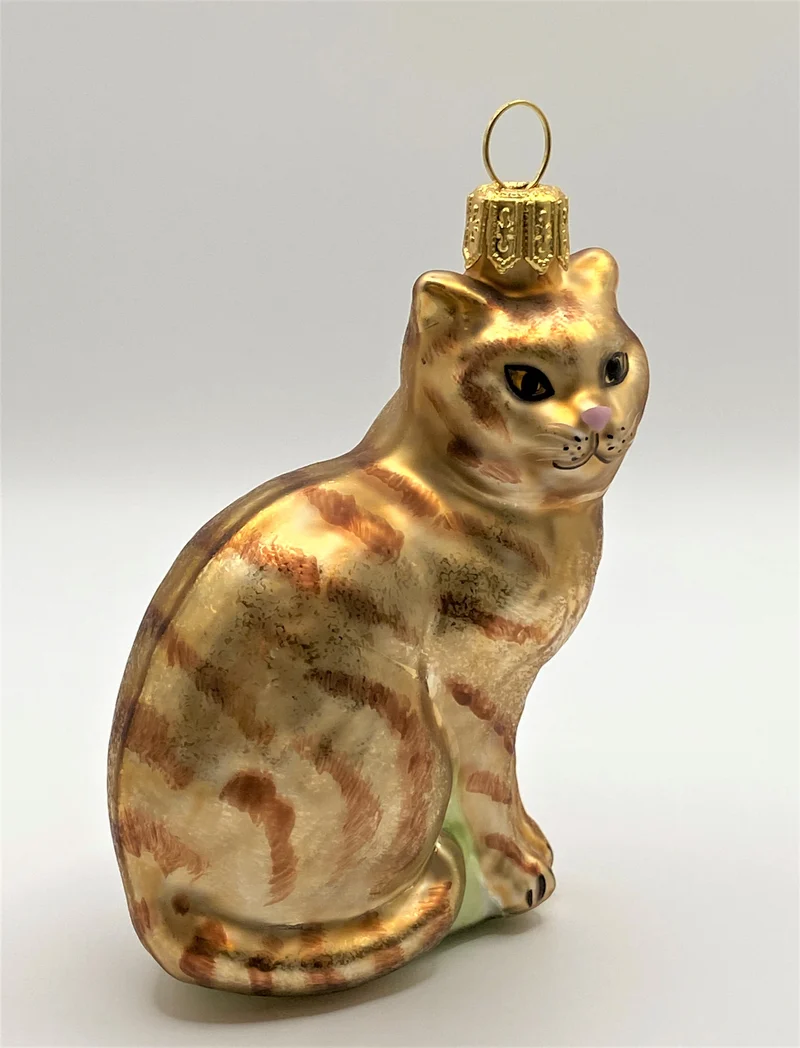 Rote Tiger-Katze