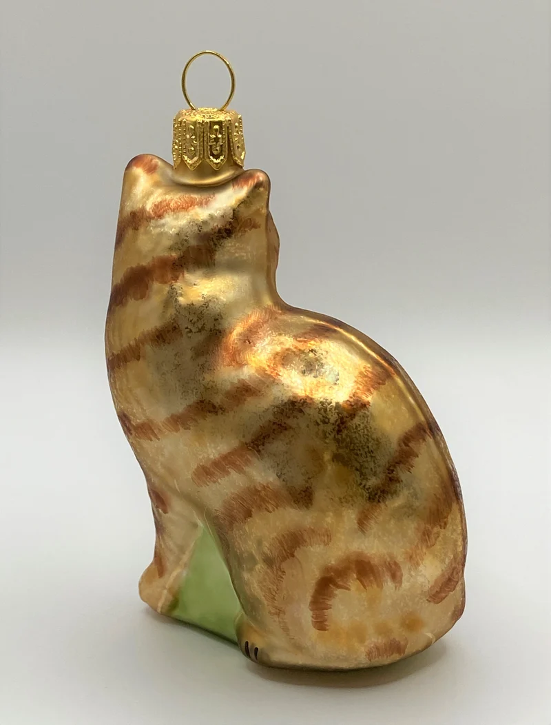 Rote Tiger-Katze