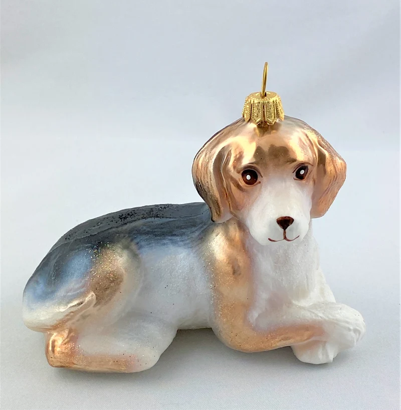 Hübscher Mischling Hund