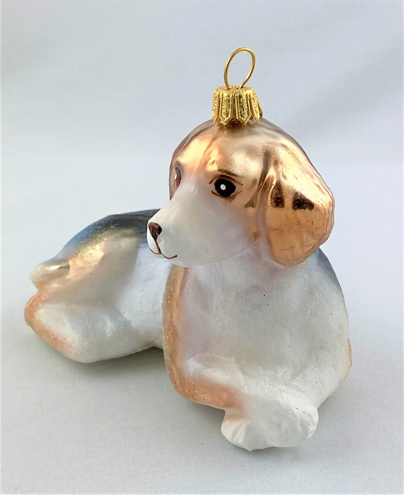 Hübscher Mischling Hund