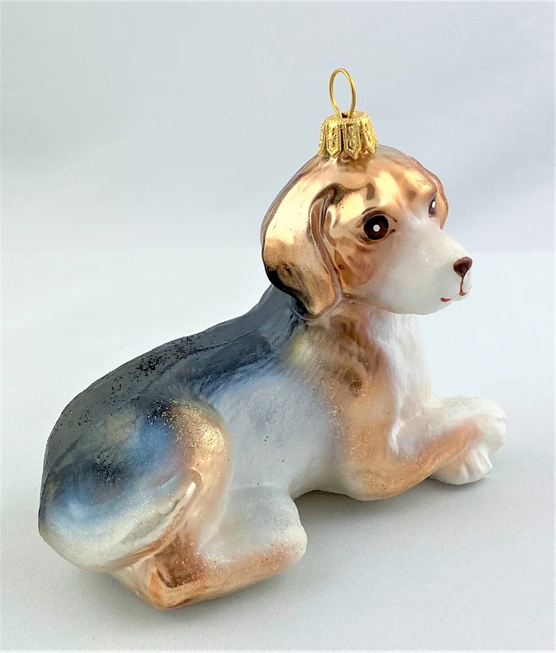 Hübscher Mischling Hund