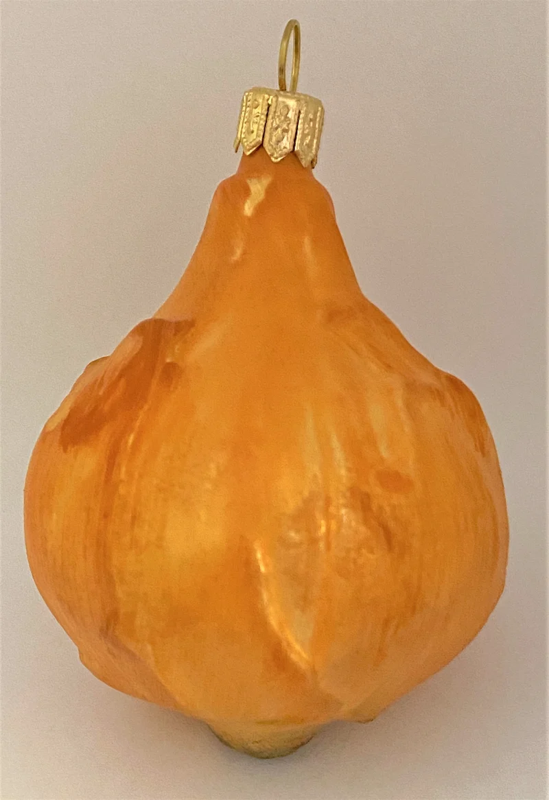 Braune Zwiebel