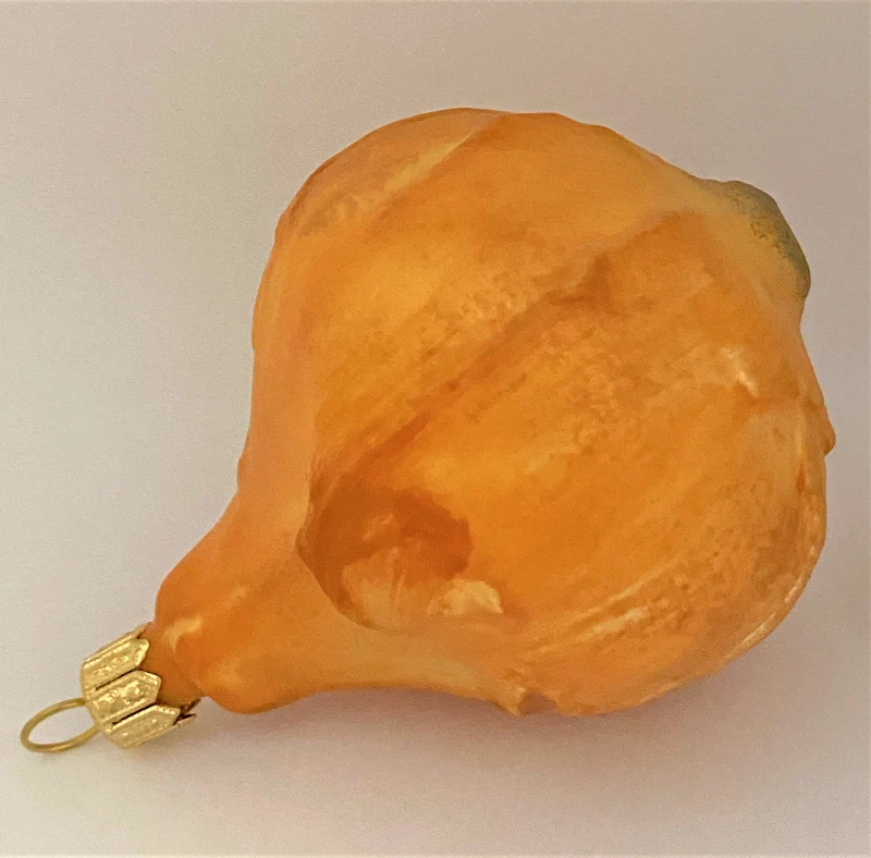 Braune Zwiebel