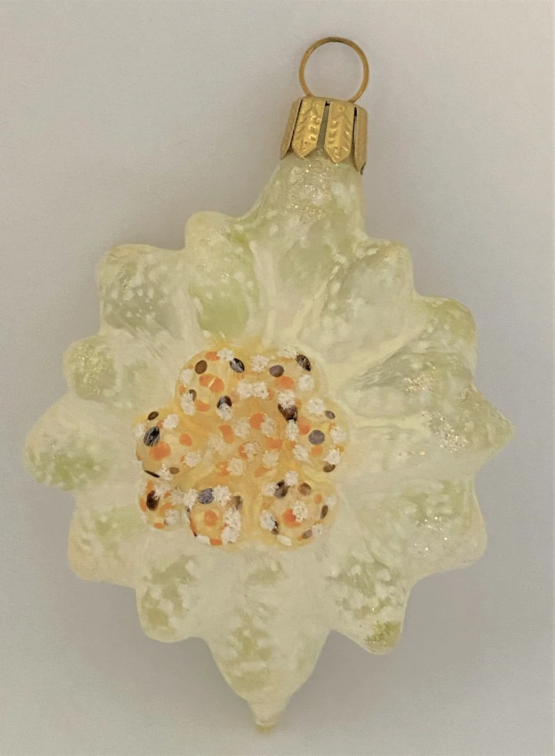 Edelweiss